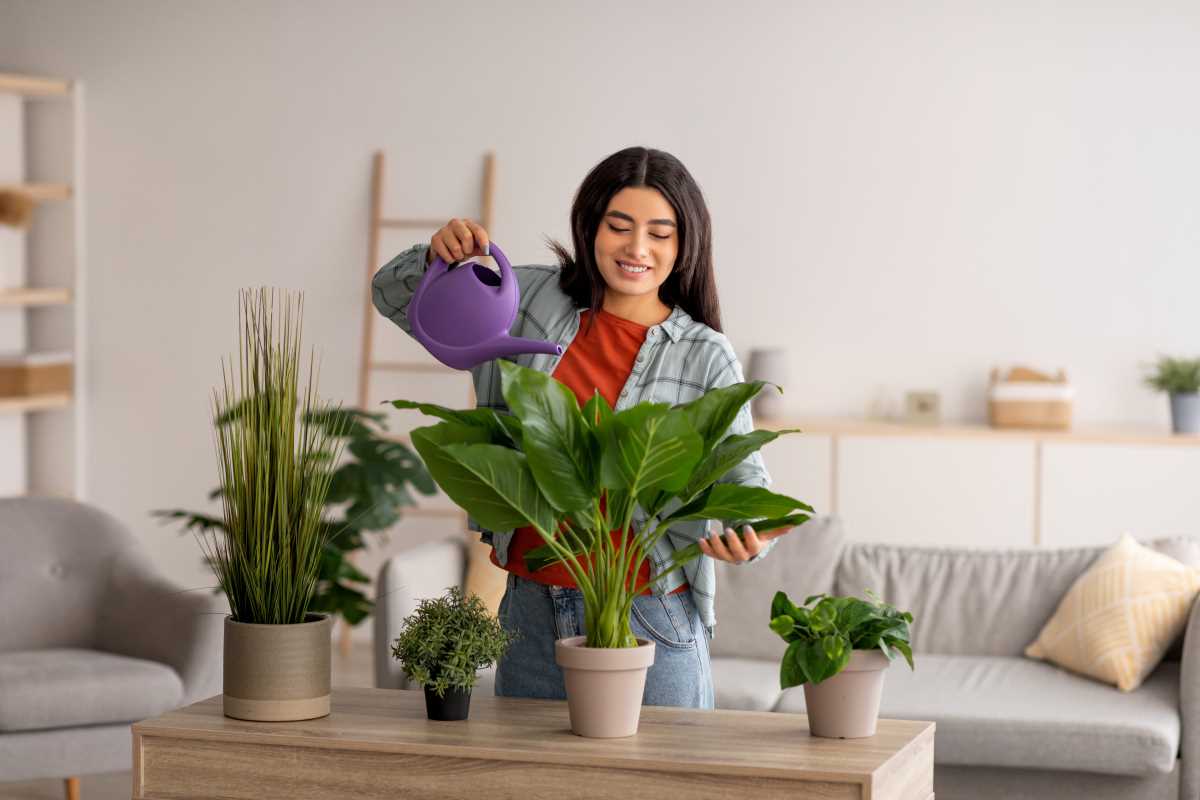 The Benefits of Indoor Plants for Home and Well-being